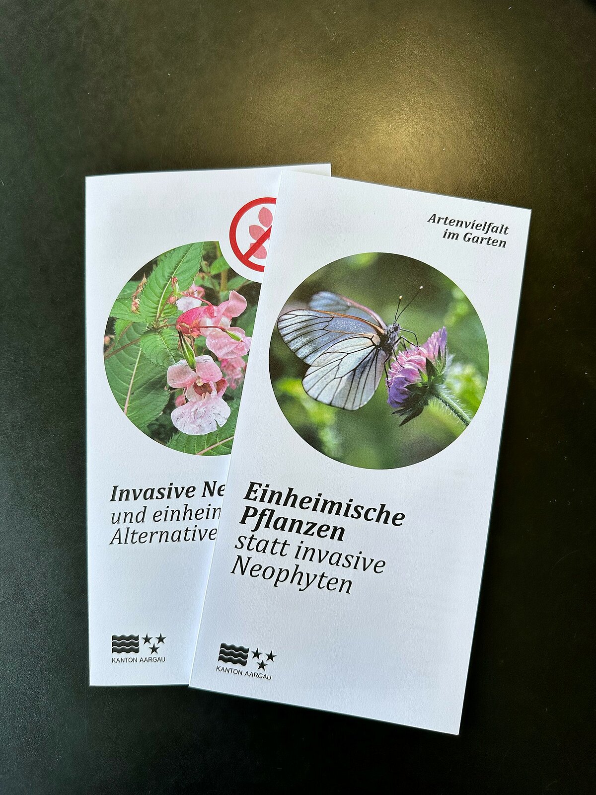 Neuenhof: Invasive Neophyten erkennen, entfernen und entsorgen ...